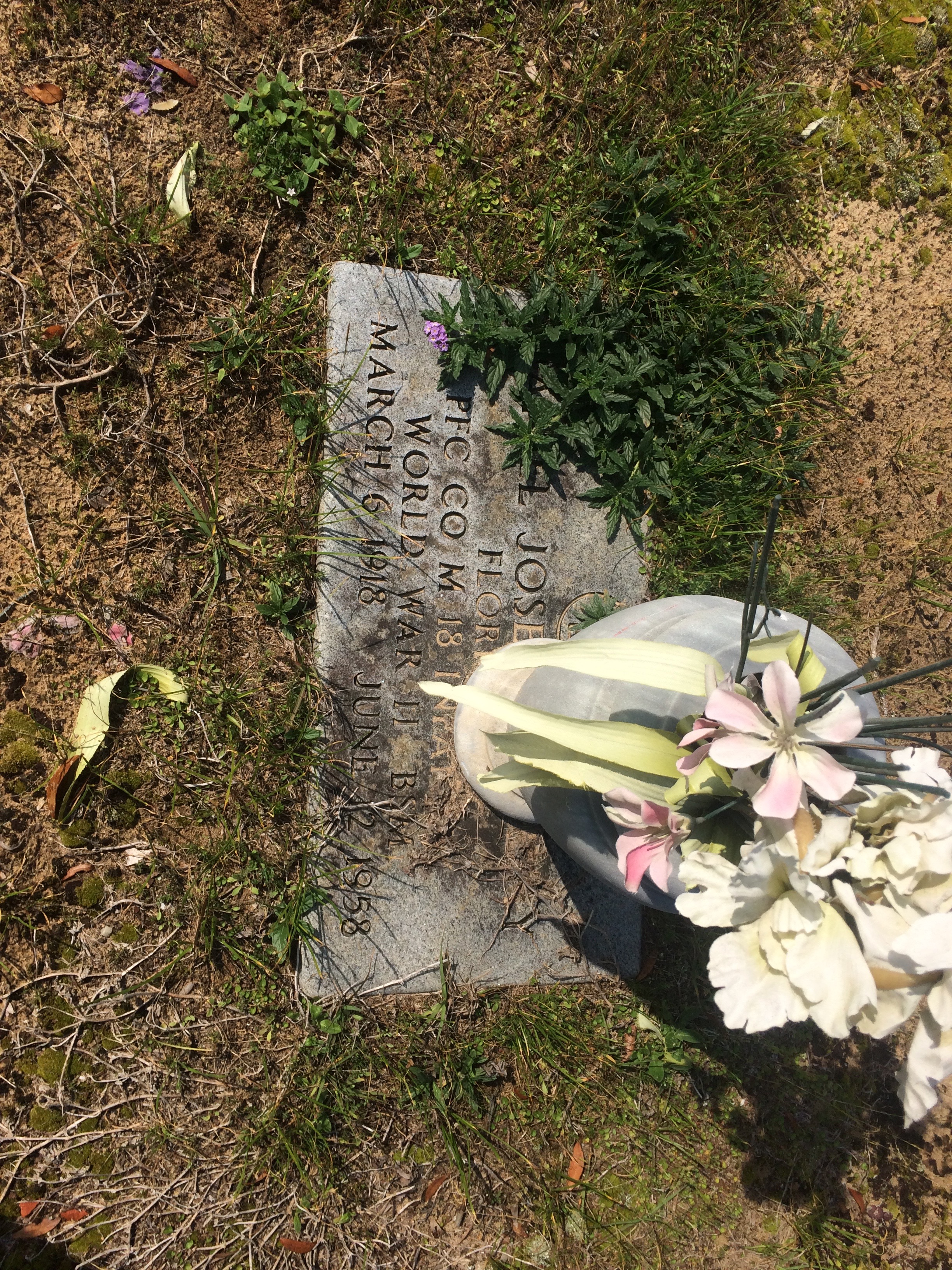 Daniel Joseph Murphy